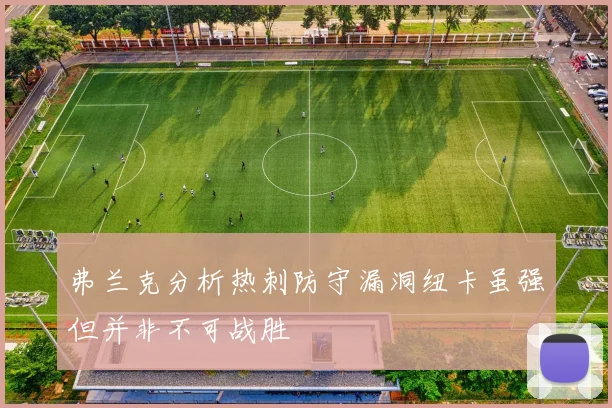 弗兰克分析热刺防守漏洞纽卡虽强但并非不可战胜