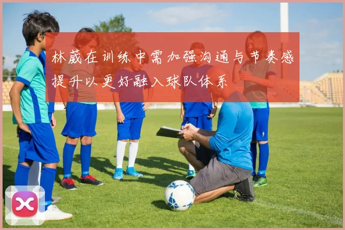 林葳在训练中需加强沟通与节奏感提升以更好融入球队体系
